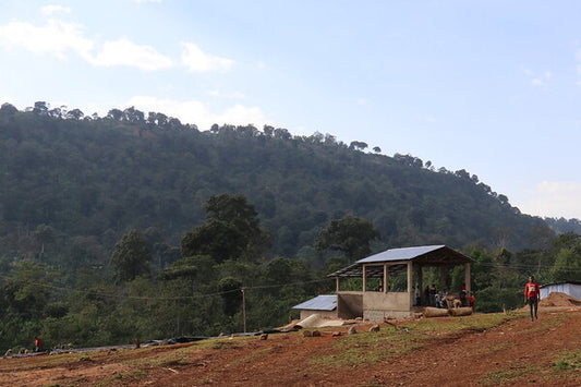 Ethiopia Worka Chelbessa